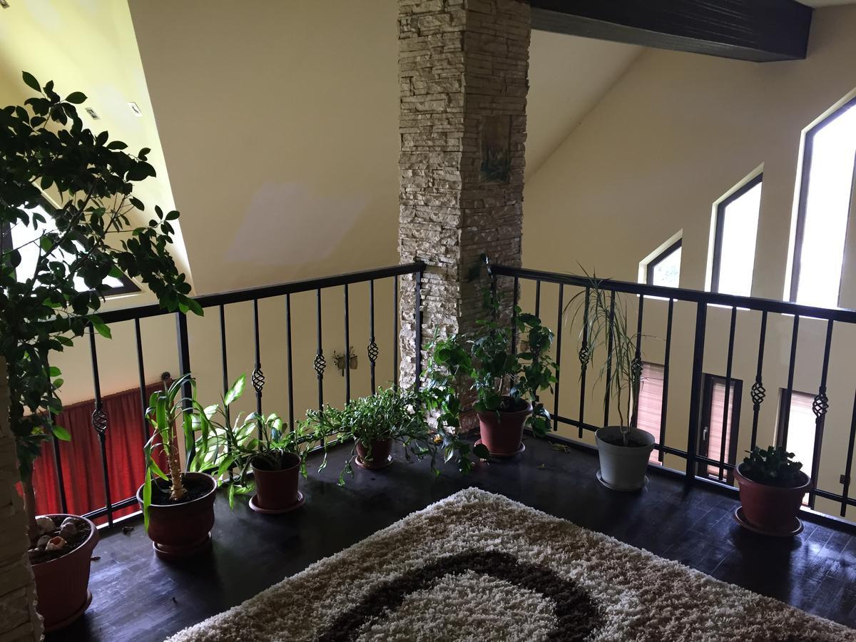 Răsvadu de Sus Guesthouse Vila Melisa מראה חיצוני תמונה