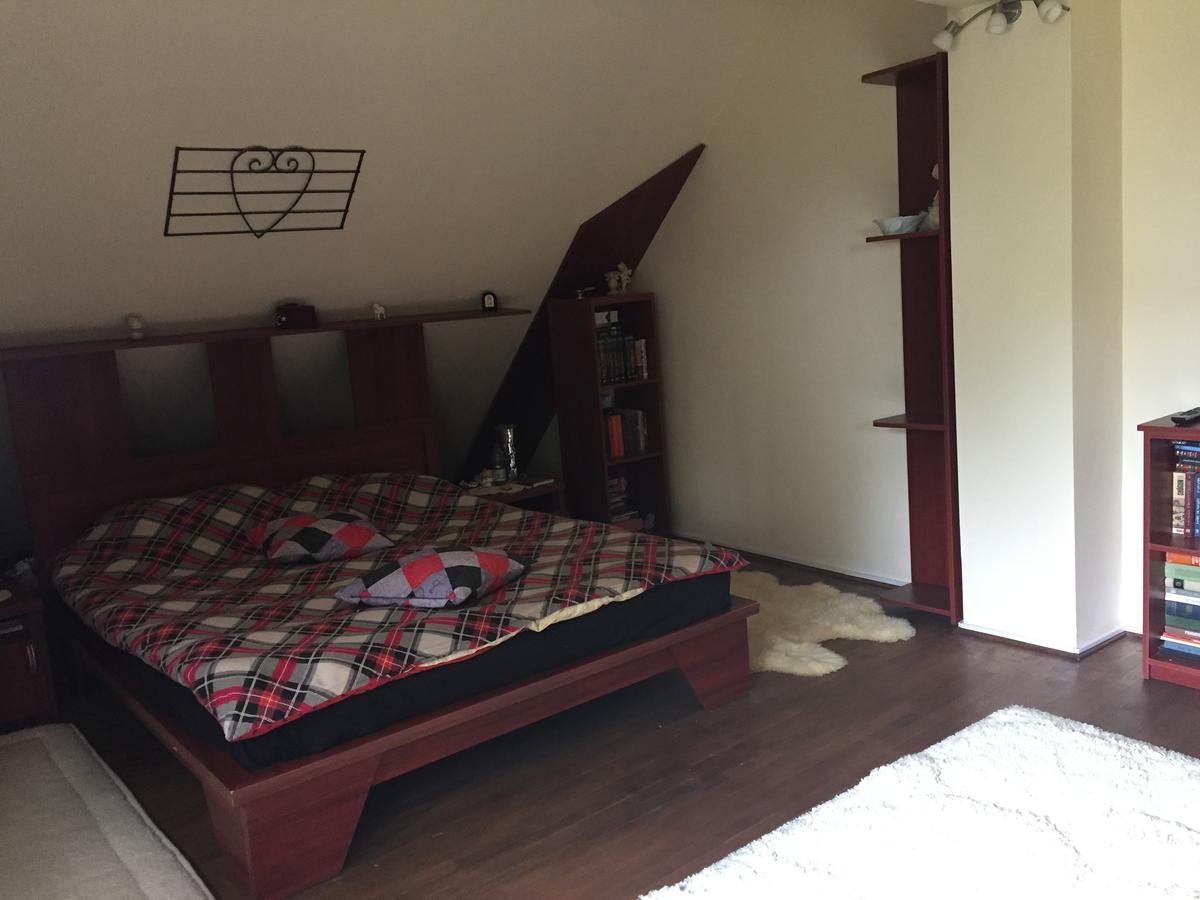 Răsvadu de Sus Guesthouse Vila Melisa מראה חיצוני תמונה