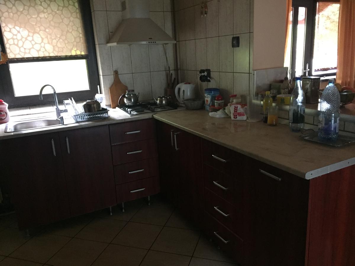 Răsvadu de Sus Guesthouse Vila Melisa מראה חיצוני תמונה