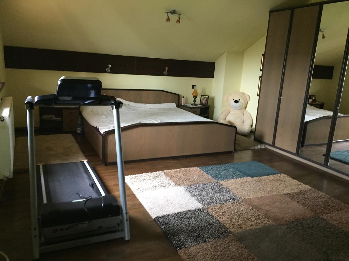 Răsvadu de Sus Guesthouse Vila Melisa מראה חיצוני תמונה