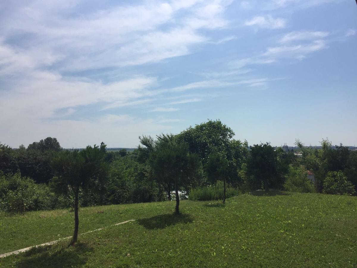Răsvadu de Sus Guesthouse Vila Melisa מראה חיצוני תמונה