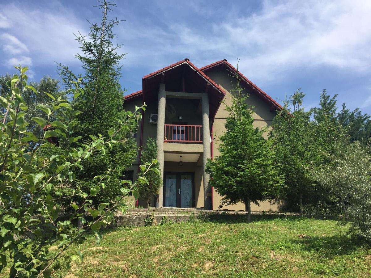 Răsvadu de Sus Guesthouse Vila Melisa מראה חיצוני תמונה