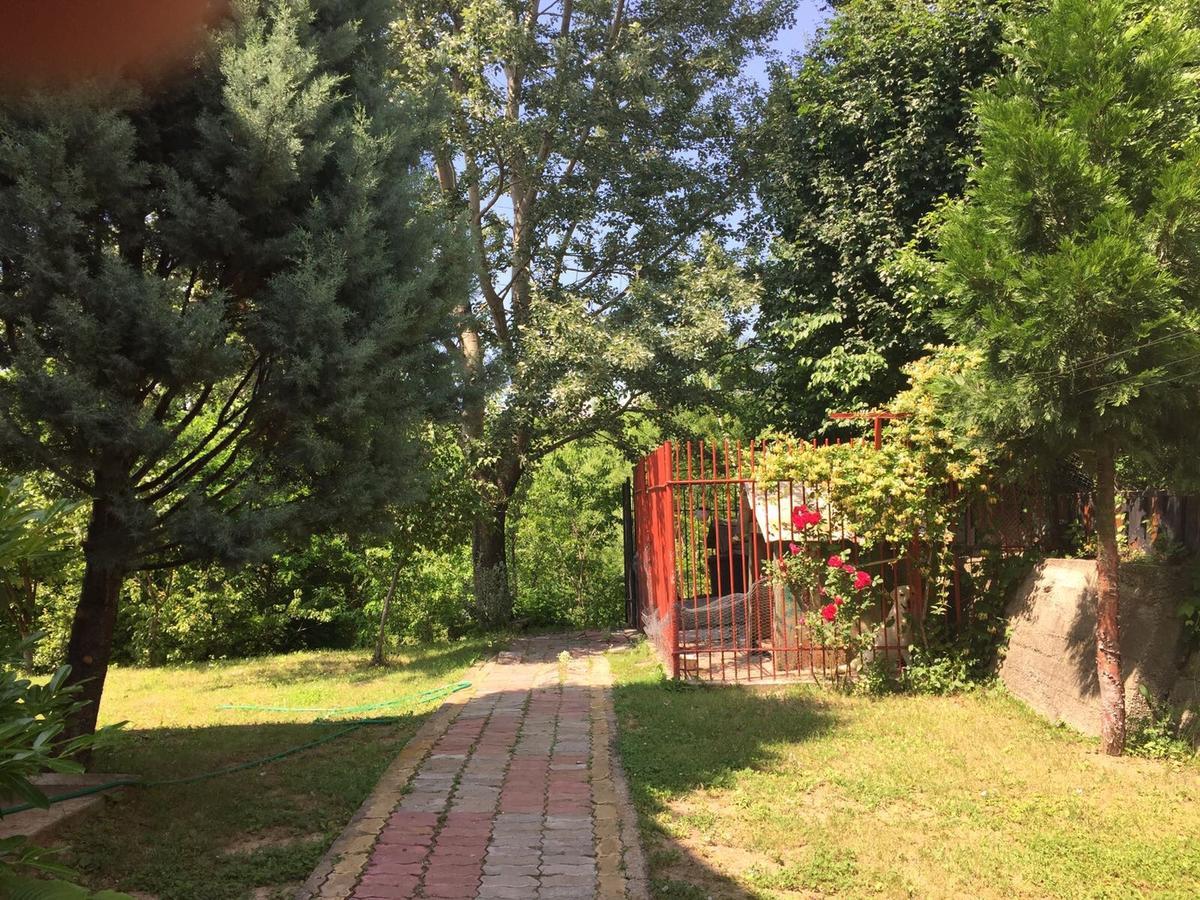 Răsvadu de Sus Guesthouse Vila Melisa מראה חיצוני תמונה