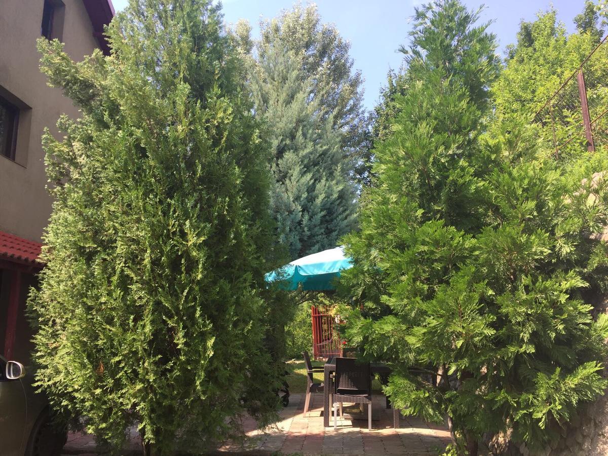 Răsvadu de Sus Guesthouse Vila Melisa מראה חיצוני תמונה