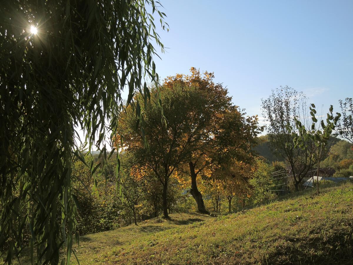 Răsvadu de Sus Guesthouse Vila Melisa מראה חיצוני תמונה