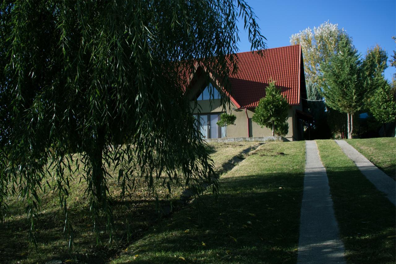 Răsvadu de Sus Guesthouse Vila Melisa מראה חיצוני תמונה