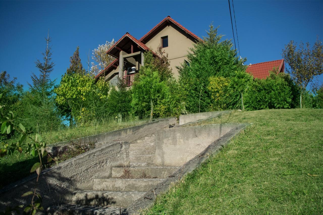 Răsvadu de Sus Guesthouse Vila Melisa מראה חיצוני תמונה